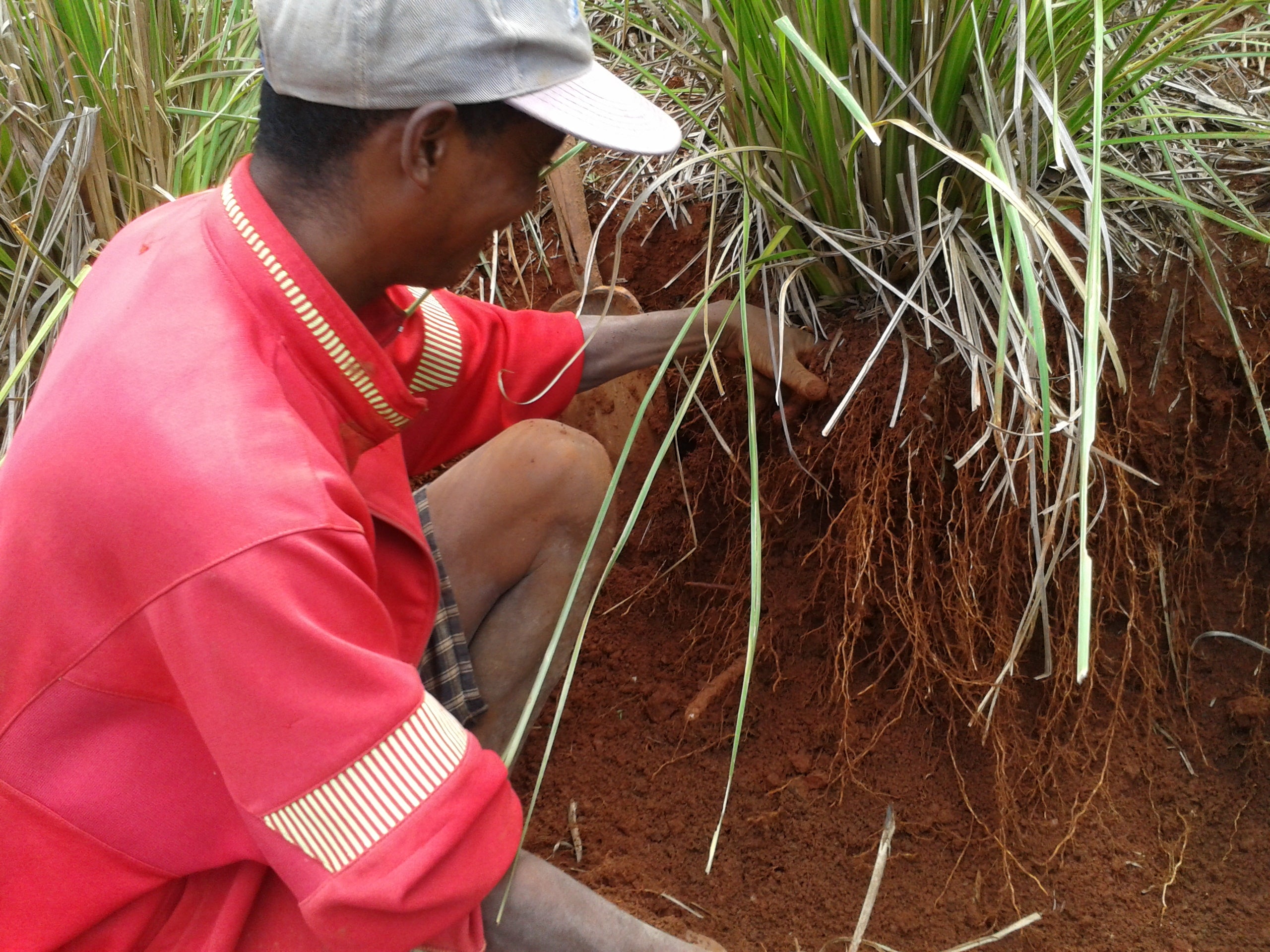NatureMade Art by Tahiana Creation Cultural Survival